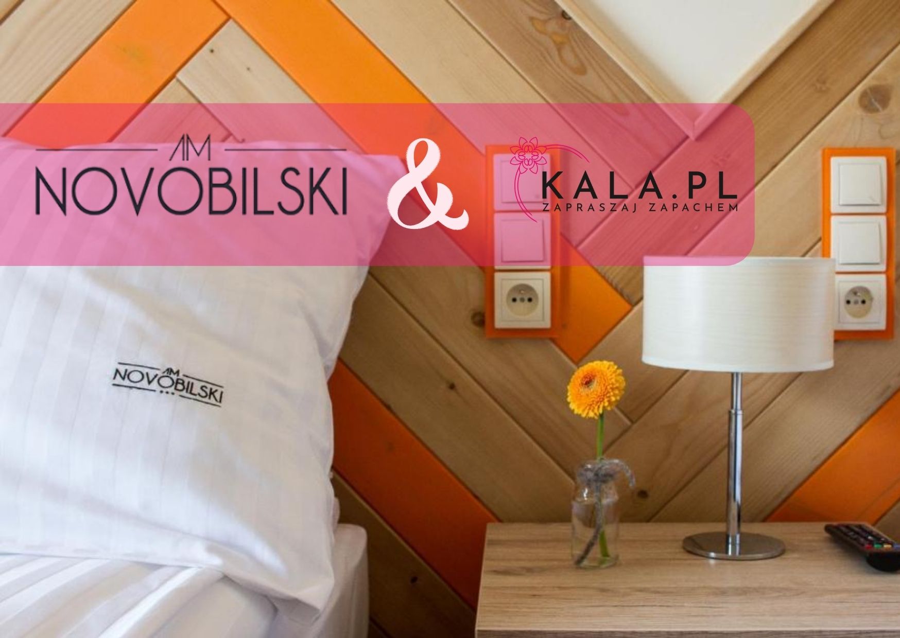 Case Study: zapach, który pachnie 8 lat