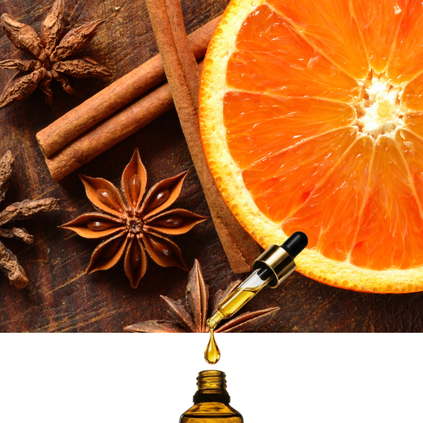 Christmas Cookies (Orange with Cinnamon)