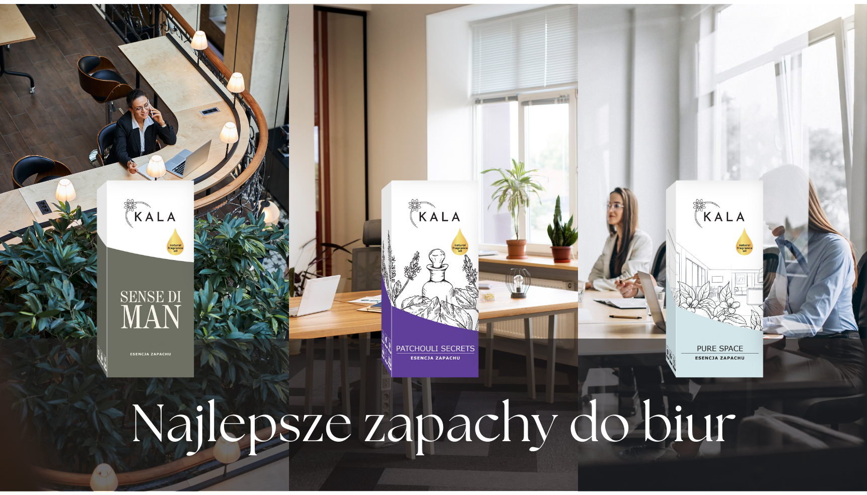 Ranking najlepszych zapachów do biur